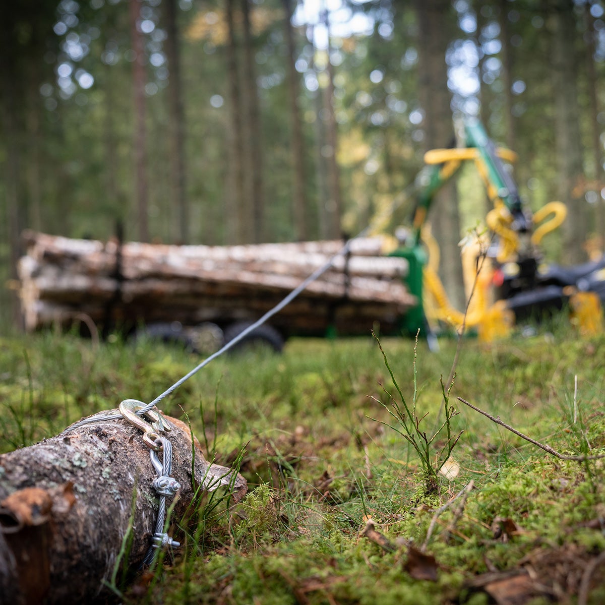 Forestry trailer ATV FT42DFR-2T