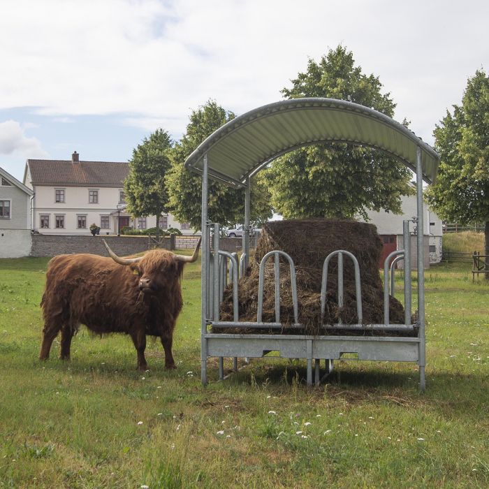 Feeder with tombstone railings, for cattle, 12 feed openings