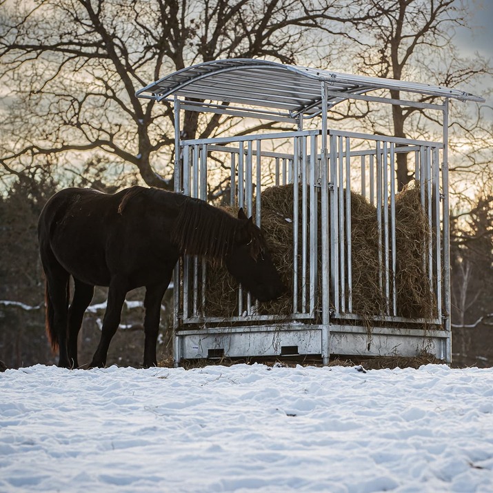 Feeder with grille gate for horses, 8 openings