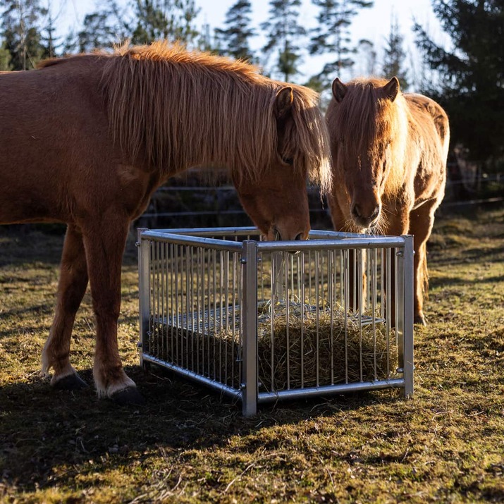 Feeder box for horses