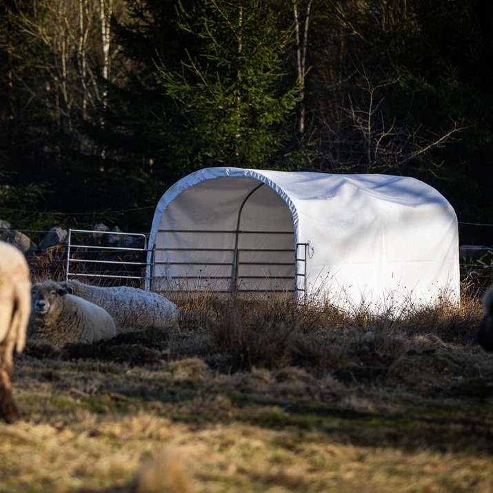Wind shelter for sheep