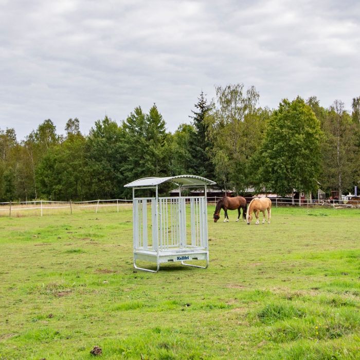 Feeder with grille gate for horses, 8 openings