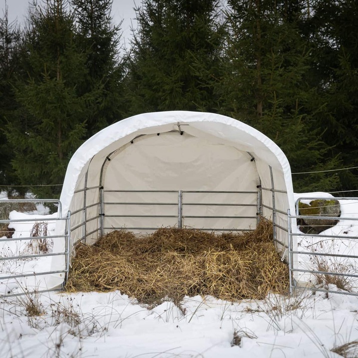 Wind shelter for sheep