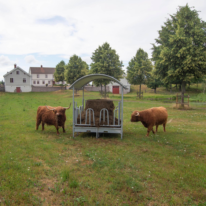 Feeder with tombstone railings, for cattle, 12 feed openings