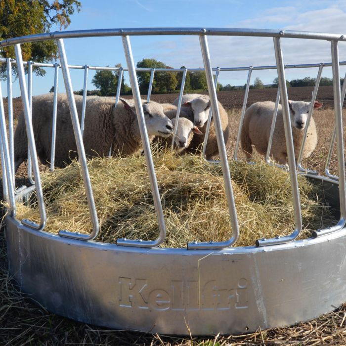 Feeder for sheep, 24 feed openings