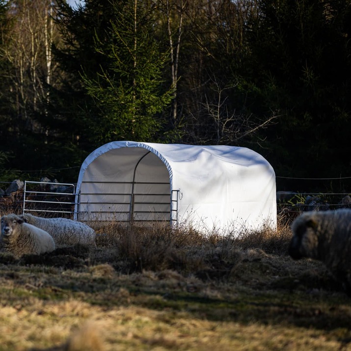 Wind shelter for sheep