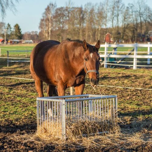 Feeder box for horses