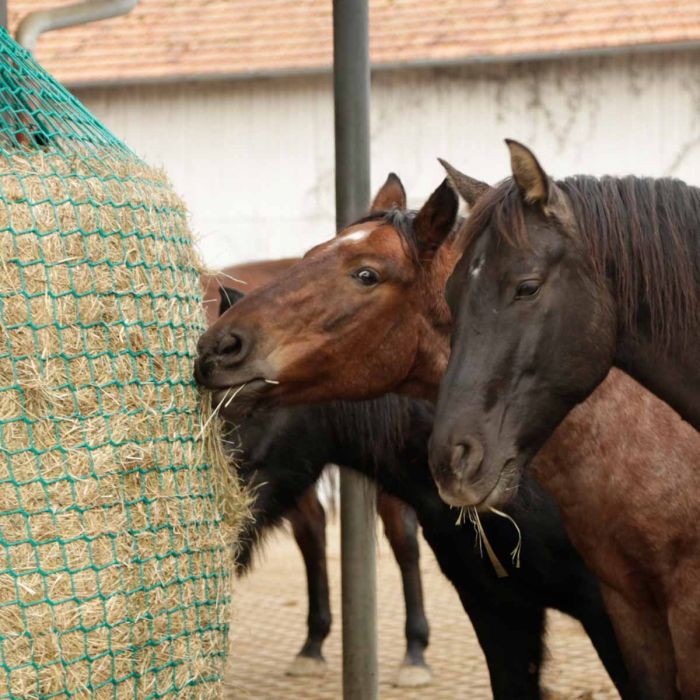 Poultry netting for round bales, suspendable, SlowFeeder