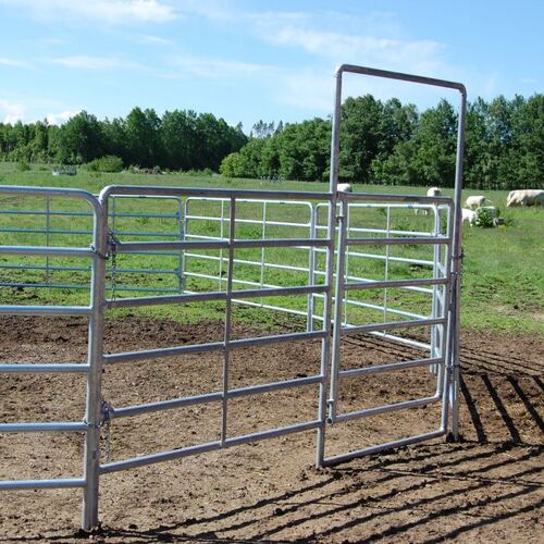 Moveable gate with opening