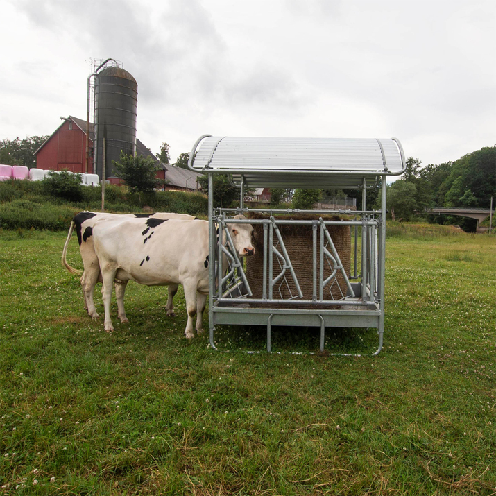 Feeder incl. self-locking headgates for cattle, 12 feed openings