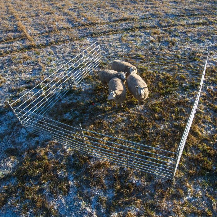 Sheep gate 1.5 m