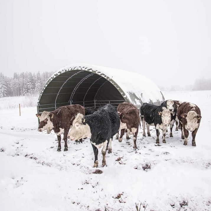 Wind shelter 6 x 6 m incl. loop leg gates