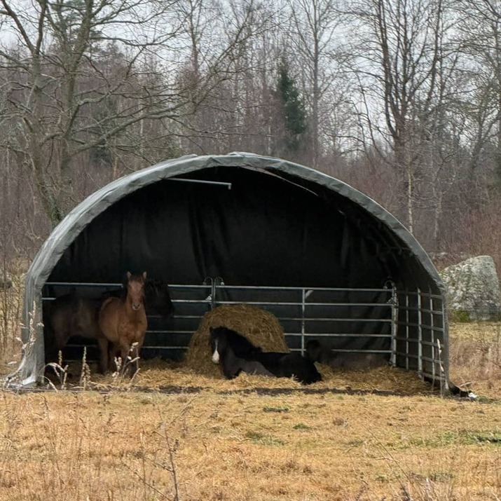 Wind shelter 6 x 6 m