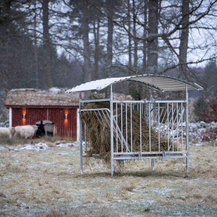 Roofed feeder for sheep