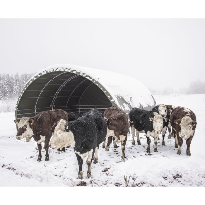 Wind shelter 6 x 6 m