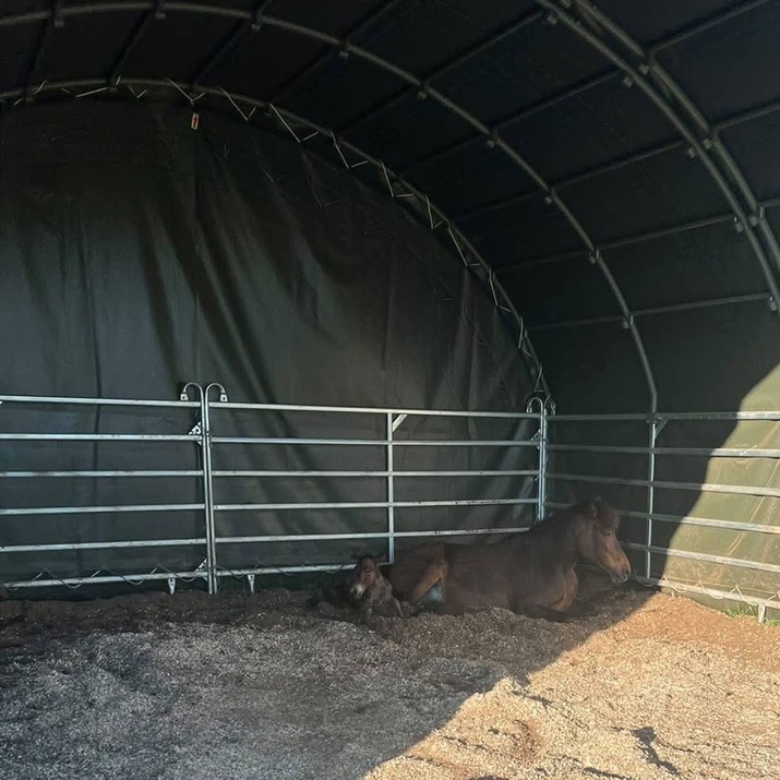 Wind shelter 6 x 6 m
