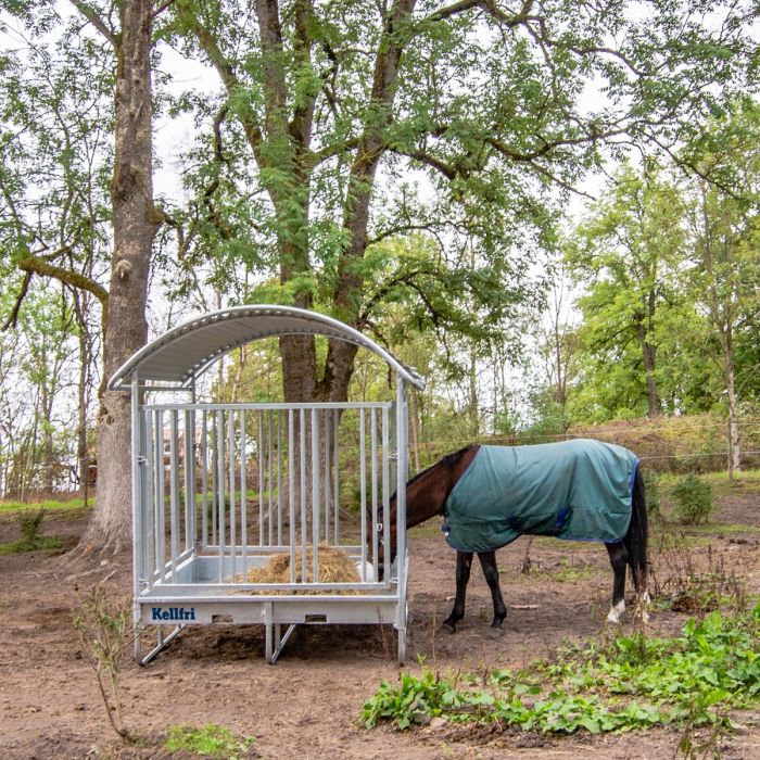 Feeder with grille gate for horses, 12 openings