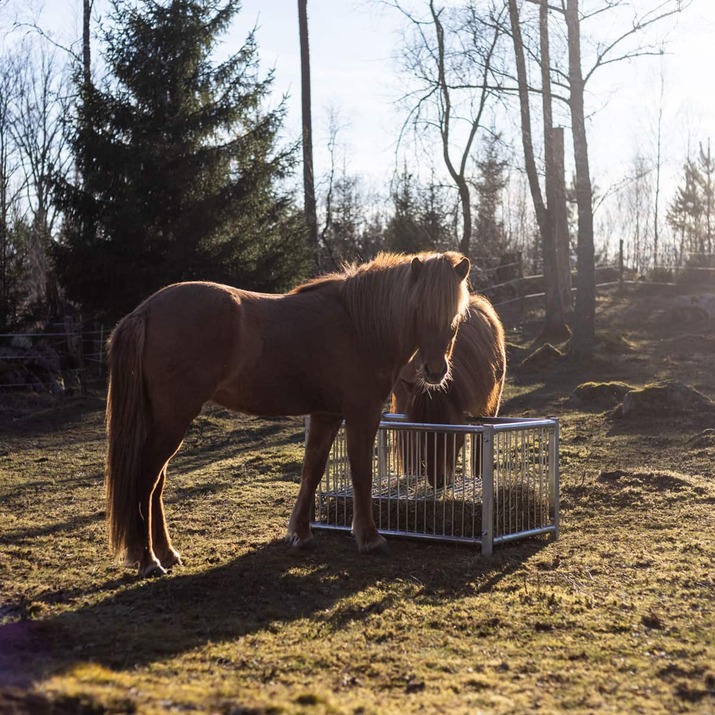 Feeder box for horses