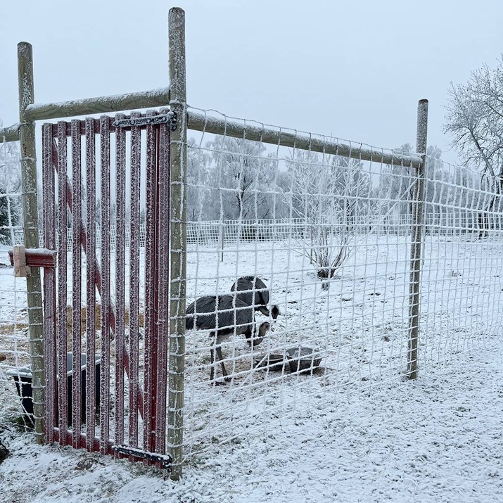 Wildlife fencing