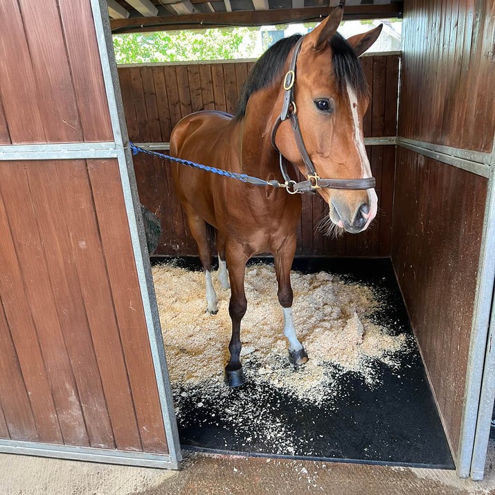 Stable mat 20 mm, 1 x 1 m