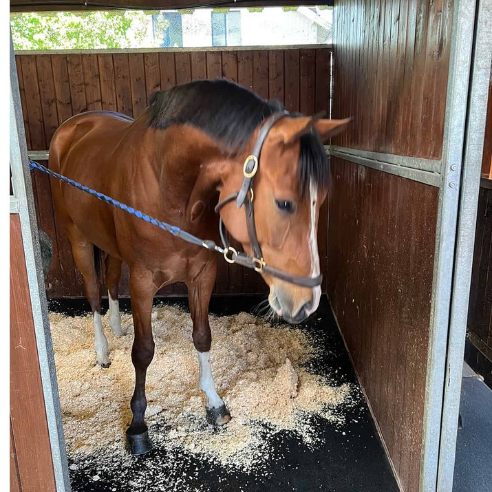 Stable mat 20 mm, 1 x 1 m
