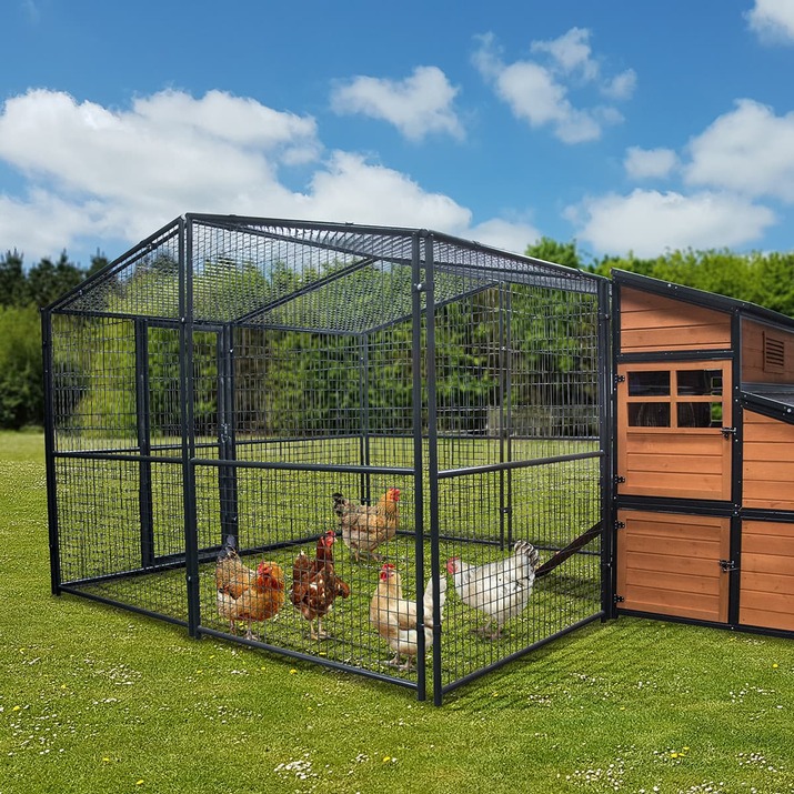 Chicken run for PREMIUM Hen House