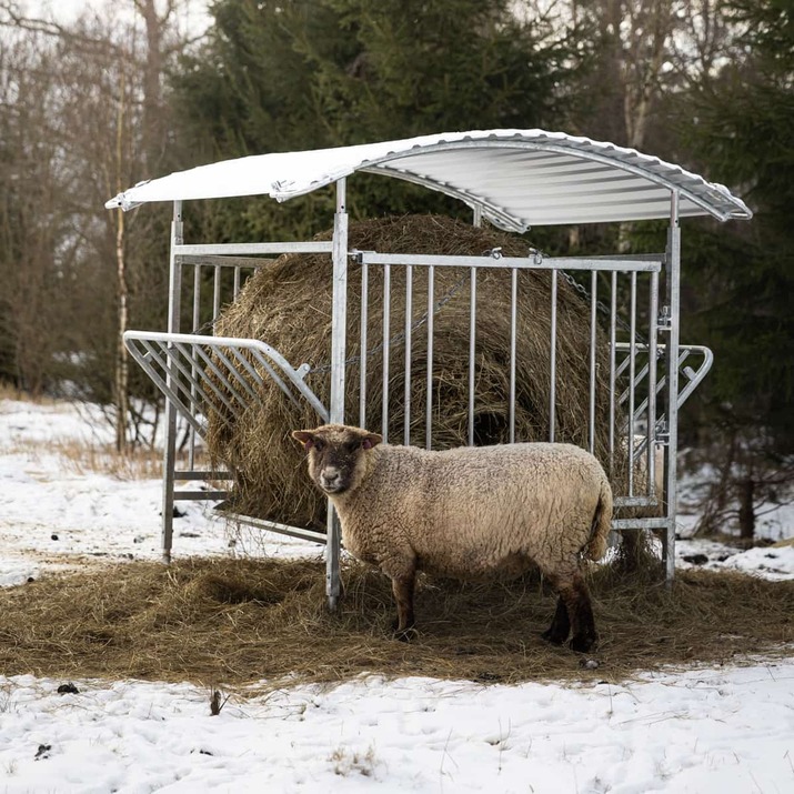 Roofed feeder for sheep
