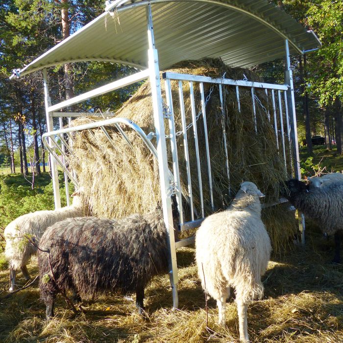 Roofed feeder for sheep