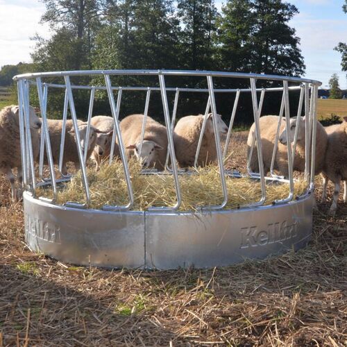 Feeder for sheep, 24 feed openings