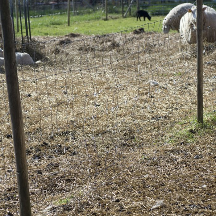 Sheep fencing 100 m x 1.2 m x 2 mm