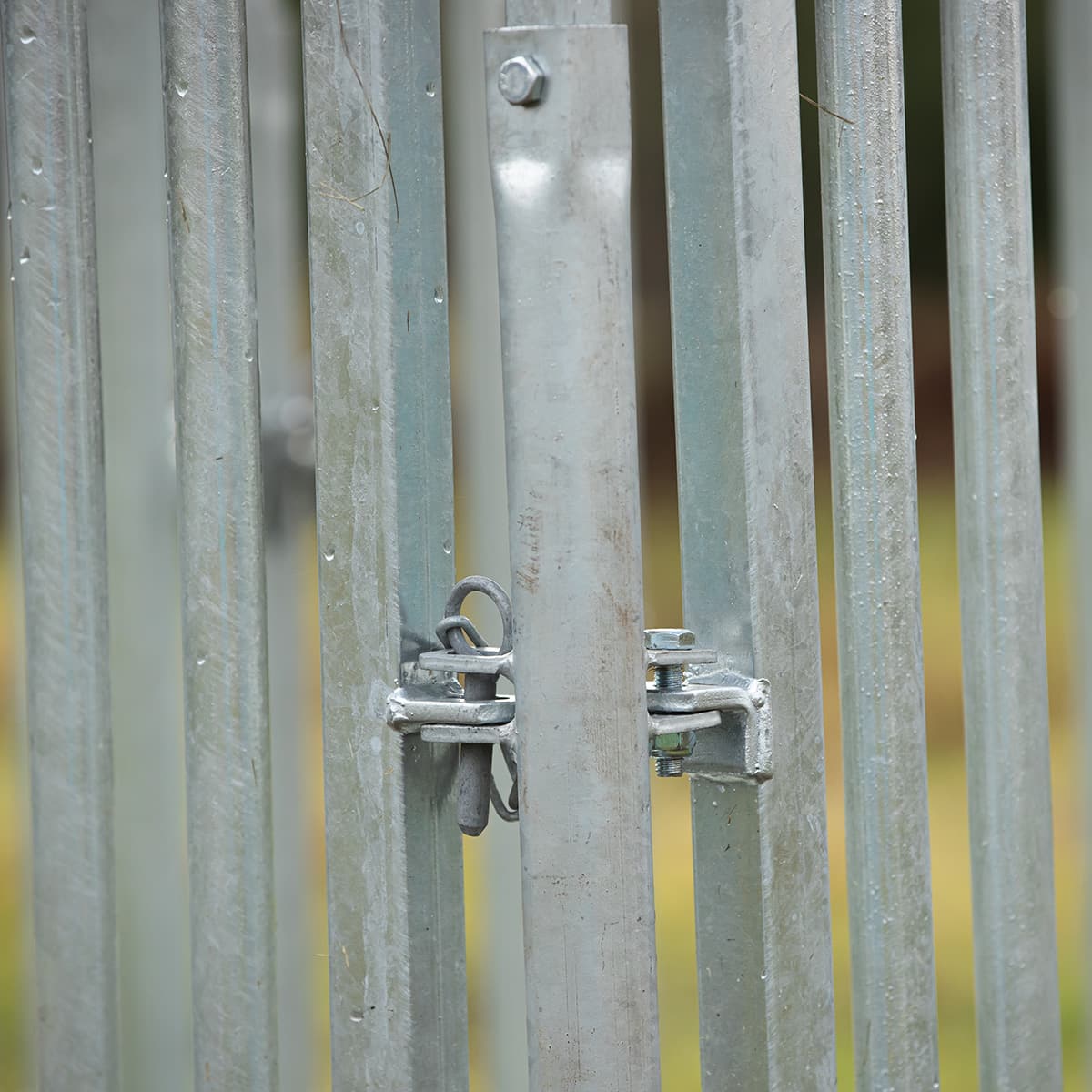Feeder with grille gate for horses, 8 openings