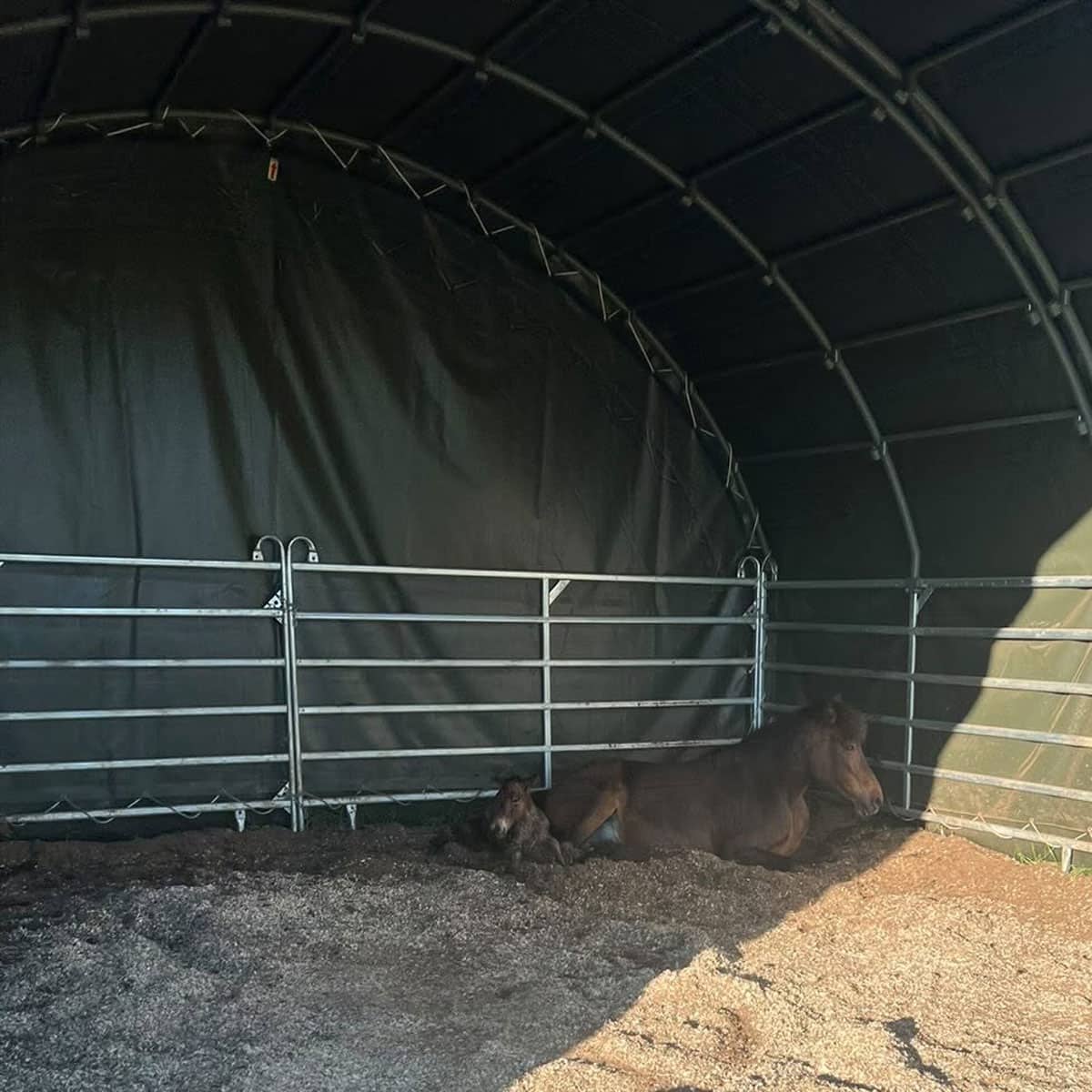 Wind shelter 6 x 6 m