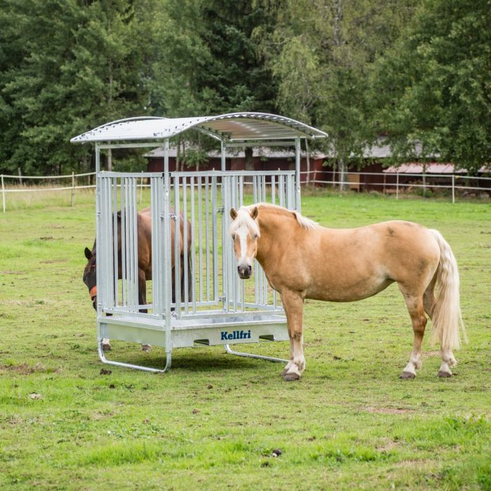 Feeder with grille gate for horses, 8 openings